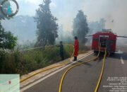 BPBD Kalsel Kerahkan Water Bombing Kendalikan Karhutla di Ujung Jalan Golf Banjarbaru