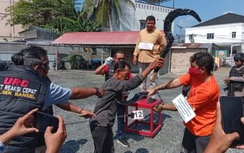 IMG 20260730 WA0039 1