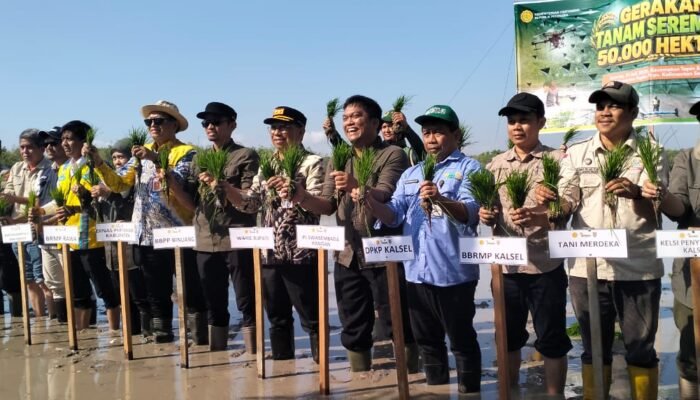 Pemkab Tapin Percepat Tanam di Lahan Optimasi dan Cetak Sawah Rakyat