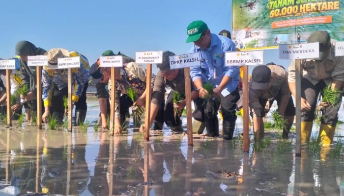 Pemkab Tapin Percepat Tanam di Lahan Optimasi dan Cetak Sawah Rakyat 3 IMG 20260731 WA0038