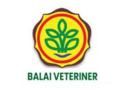 Penguatan Balai Veteriner Antisipasi Wabah Penyakit Hewan