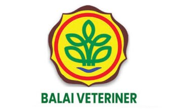 balai