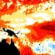 Padam di Kondisi El-Nino, Sangat Dikeluhkan