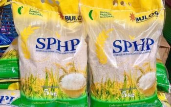 Respons Kenaikan Harga Beras, Pemerintah Perkuat Penyaluran SPHP ke Pasar Rakyat 5 pedagang pasar di gresik keluhkan dampak beras sphp ditarik dari pasaran daya beli menurun