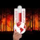 Suhu Udara Kalsel Sentuh 23 hingga 35 Derajat Celsius