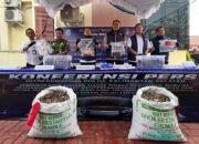 Penyelundupan Sisik Trenggiling Jaringan Internasional Dibongkar Polda Kalsel