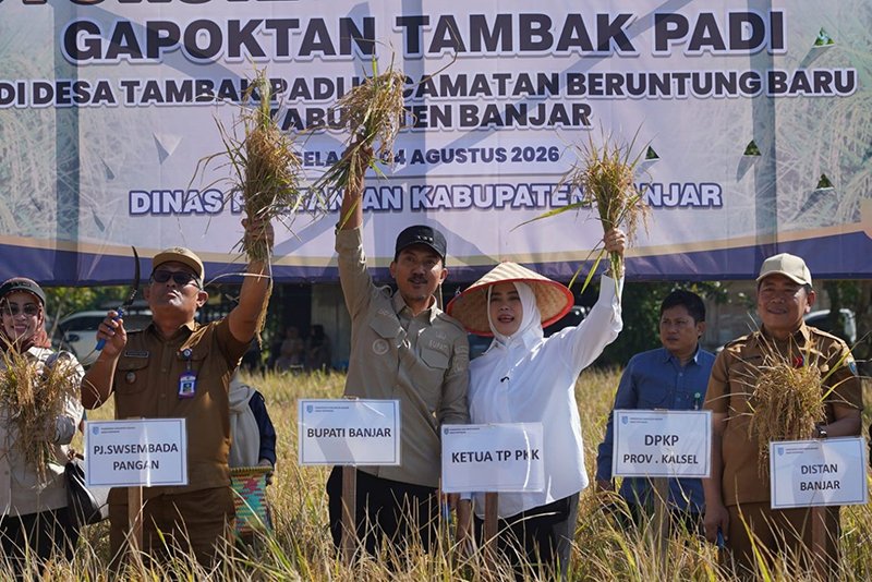 1 3 klm 5 cm Kontrak Martapura 4 Panen Padi