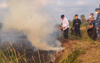Di Tengah Karhutla, Gubernur Ikut Padamkan 8 1 3 klm 5 cm Pemadaman karhutla