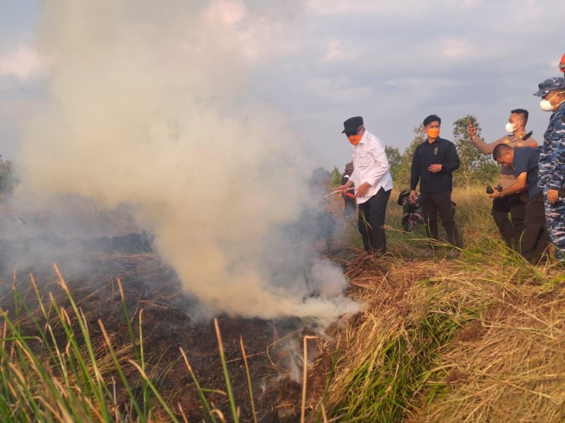 Di Tengah Karhutla, Gubernur Ikut Padamkan 1 1 3 klm 5 cm Pemadaman karhutla