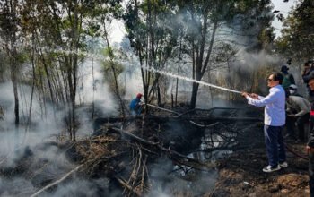 Tinjau Lokasi Pemadaman dan Serahkan Bantuan Relawan Karhutla 4 1 Kontrak Pemprov 28 Wagub Hasnuriyadi tinjau lokasi pemadaman dan serahkan bantuan