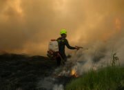 Ribuan Hektar Lahan Telah Terbakar