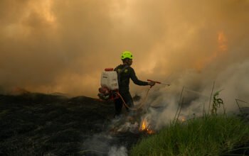 Ribuan Hektar Lahan Telah Terbakar 4 DSC05152