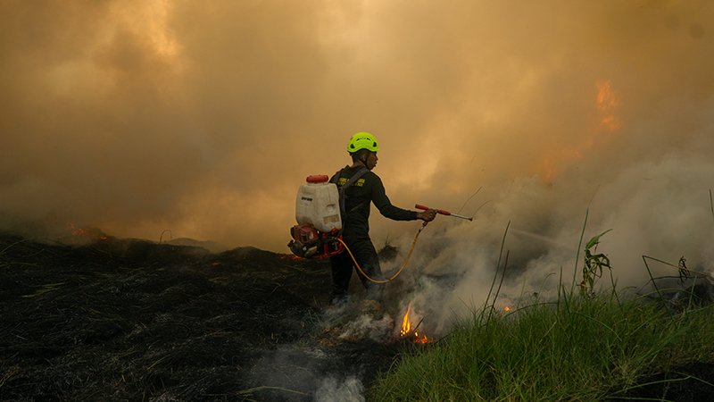 Ribuan Hektar Lahan Telah Terbakar 1 DSC05152