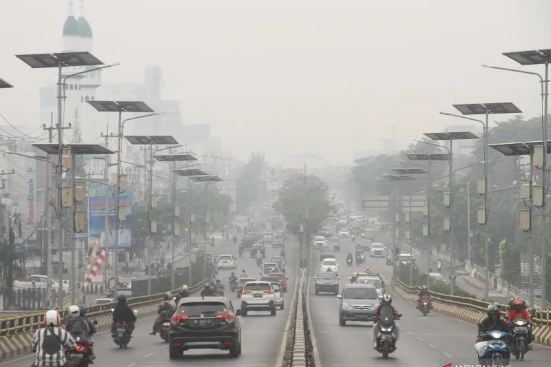Dampak Karhutla Di Kalsel 150919 Bay 1.jpg