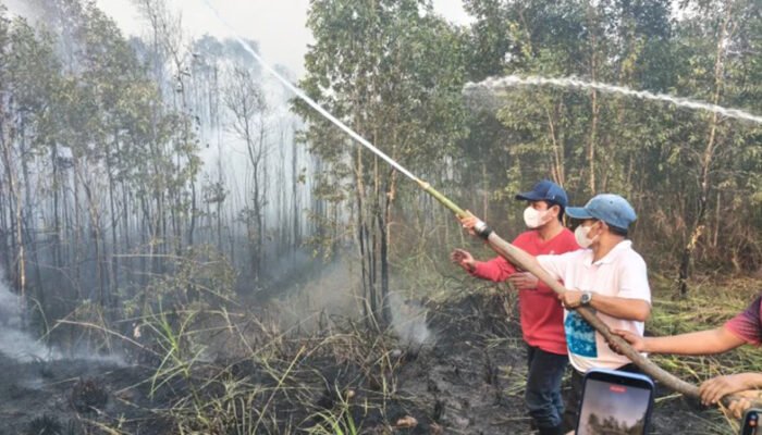 Wamenko Pangan Hanif Faisol Turun Padamkan ke Titik Api Karhutla