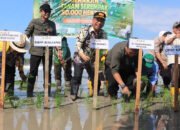 Percepat Tanam di Lahan Optimasi dan Cetak Sawah Rakyat