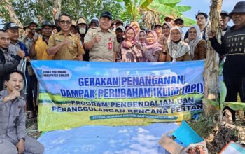 Hadapi Kemarau Panjang, Distan-Petani Bersihkan Saluran Air 5 Hal 4 4 KLM MTP BERSIHKAN SALURAN AIR