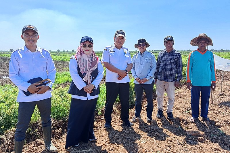 Tinjau Lokasi CSR, Distan Dorong Pompanisasi-Padi Umur Pendek 1 Hal 4 4 KLM Martapura Tinjau CSR