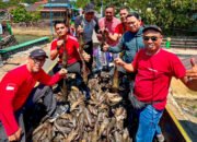 Festival Tangkap Ikan Sapu-Sapu, Cara Warga Banjarbaru Peduli Sungai