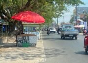 Satpol PP Banjarmasin Hadapi Modus “Kucing-Kucingan” Pedagang Buah di Jalan Protokol