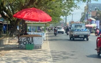 Satpol PP Banjarmasin Hadapi Modus "Kucing-Kucingan" Pedagang Buah di Jalan Protokol 4 IMG 20260802 WA0016