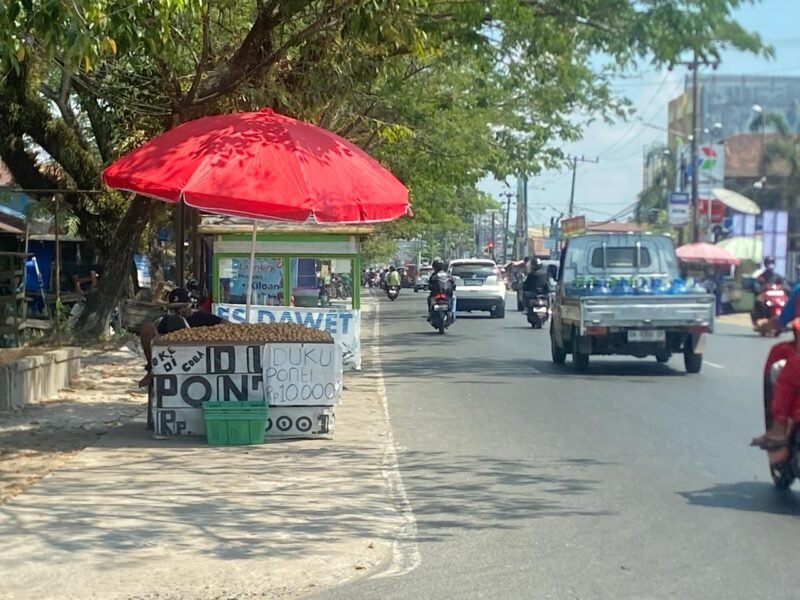 Satpol PP Banjarmasin Hadapi Modus "Kucing-Kucingan" Pedagang Buah di Jalan Protokol 1 IMG 20260802 WA0016 e1785668451670