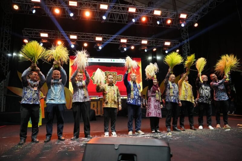 Tapin Art Fest 2026 Masuk KEN, Gubernur Sebut Budaya Banua Mampu Bersaing di Tingkat Nasional 1 IMG 20260802 WA0021 e1785668858347