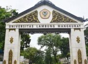 ULM Tarik Mahasiswa KKN-LH, Fokus Pemulihan Trauma