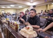 Peringkat 37, Bang Dhin Desak Evaluasi Pelayanan Investasi Kalsel