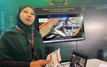 Tanah Bumbu Tawarkan Investasi Industri Bandeng Terintegrasi, Bidik Pasar Ekspor 4 IMG 20260807 WA0032