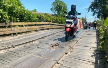 IMG 20260810 WA0013 1