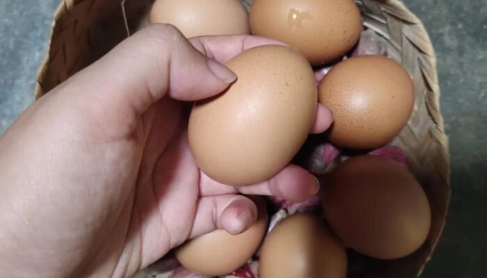 Telur Retak Masih Aman Dimakan? Ini Penjelasan Ahli