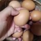 IMG 20260810 WA0013