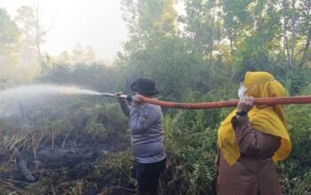 Polres Kotim Lakukan Penyelidikan dan Pasang Garis Polisi di Sejumlah Area Karhutla 4 IMG 20260811 WA0019 1