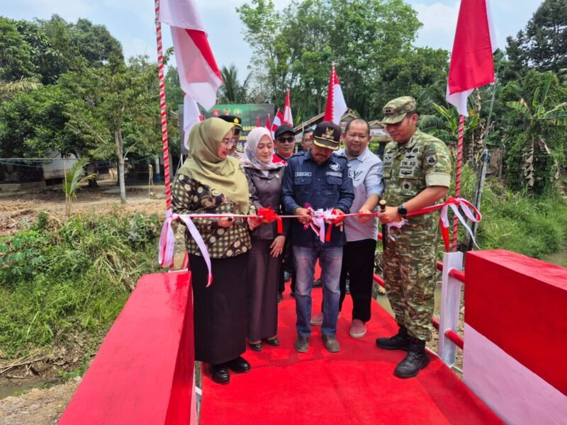 Jembatan Garuda di Desa Teluk Masjid HST di Resmikan, Sangat Bermanfaat Bagi Masyarakat 1 IMG 20260813 WA0040 e1786625231826