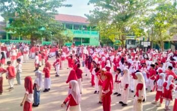 IMG 20260815 WA0043