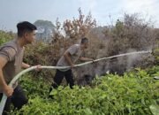 Sat Polairud Polresta Banjarmasin Bergerak Cepat Padamkan Karhutla di Pulau Bromo