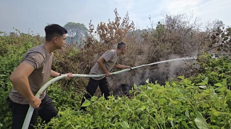 Sat Polairud Polresta Banjarmasin Bergerak Cepat Padamkan Karhutla di Pulau Bromo 1 IMG 20260819 WA0051 e1787142807256