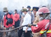 Gubernur Kalteng Dampingi Menhut Tinjau Kebakaran Lahan Petuk Katimpun