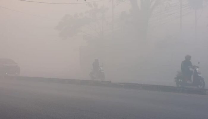 Ribuan Hektare Lahan di Kalsel Telah Terbakar