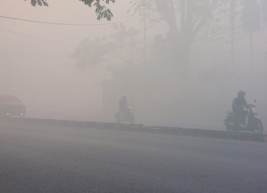 Ribuan Hektare Lahan di Kalsel Telah Terbakar 1 IMG 20260820 WA0088