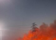 Puluhan Hektare Lahan Gambut Terbakar, Tim Gabungan Berjibaku Jinakkan Api di Kujan Kabupaten Lamandau