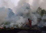 Polri Tetapkan 72 Tersangka Kasus Karhutla di Sembilan Polda