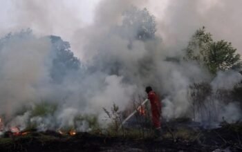Polri Tetapkan 72 Tersangka Kasus Karhutla di Sembilan Polda 4 IMG 20260823 WA0064