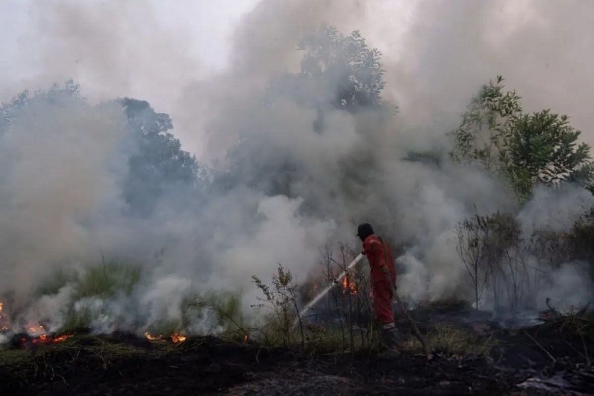 Polri Tetapkan 72 Tersangka Kasus Karhutla di Sembilan Polda 1 IMG 20260823 WA0064