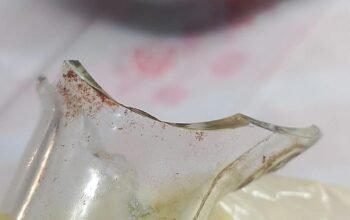 Pria Diduga Mabuk Serang IRT dengan Pecahan Botol, Ditangkap di Tanah Laut 4 IMG 20260824 WA0004