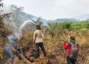 Api Kembali Muncul di Penopa, PT GRACE dan Aparat Bergerak Lakukan Pemadaman