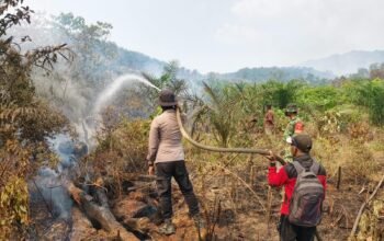 Api Kembali Muncul di Penopa, PT GRACE dan Aparat Bergerak Lakukan Pemadaman 4 IMG 20260824 WA0018