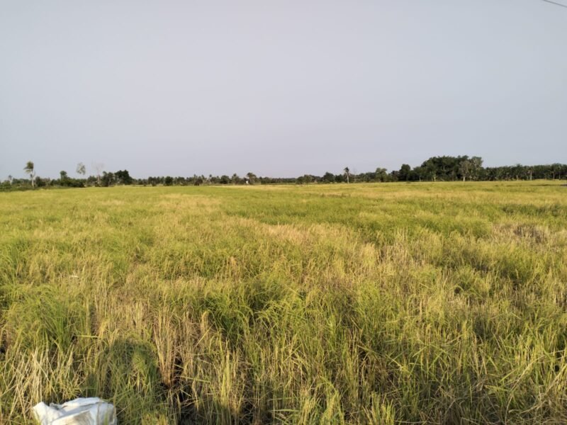IMG 20260824 WA0046 e1787580354928
