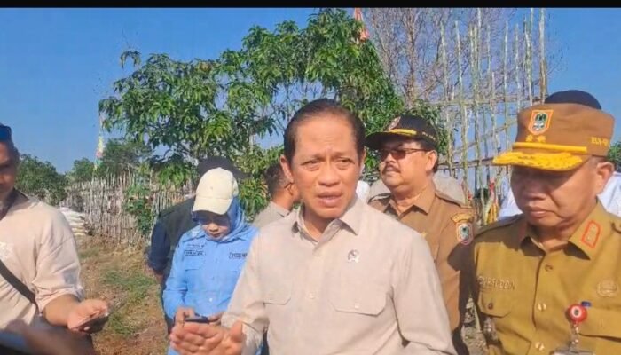 Karhutla di Kalsel Dipicu Iklim tapi Disebabkan Manusia